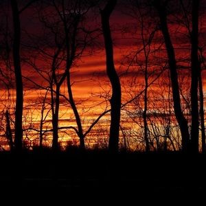 Meet your Posher, Jim